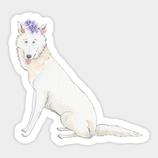 White Swiss shepherd dog Sticker